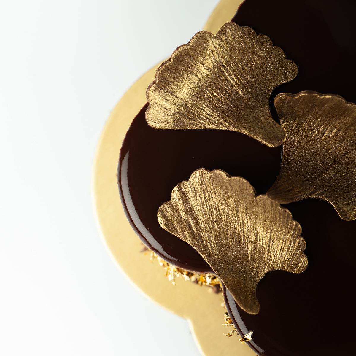 ODE TO GINKGO